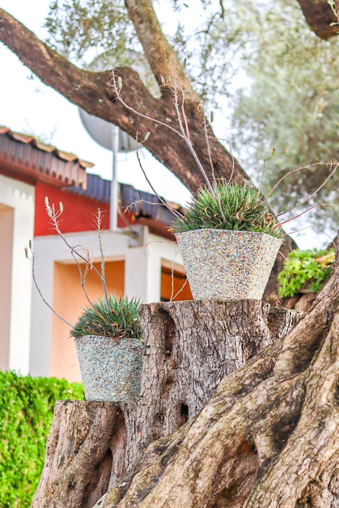 Hilja'S Oliven Garden Bungalows อุลซิน ภายนอก รูปภาพ
