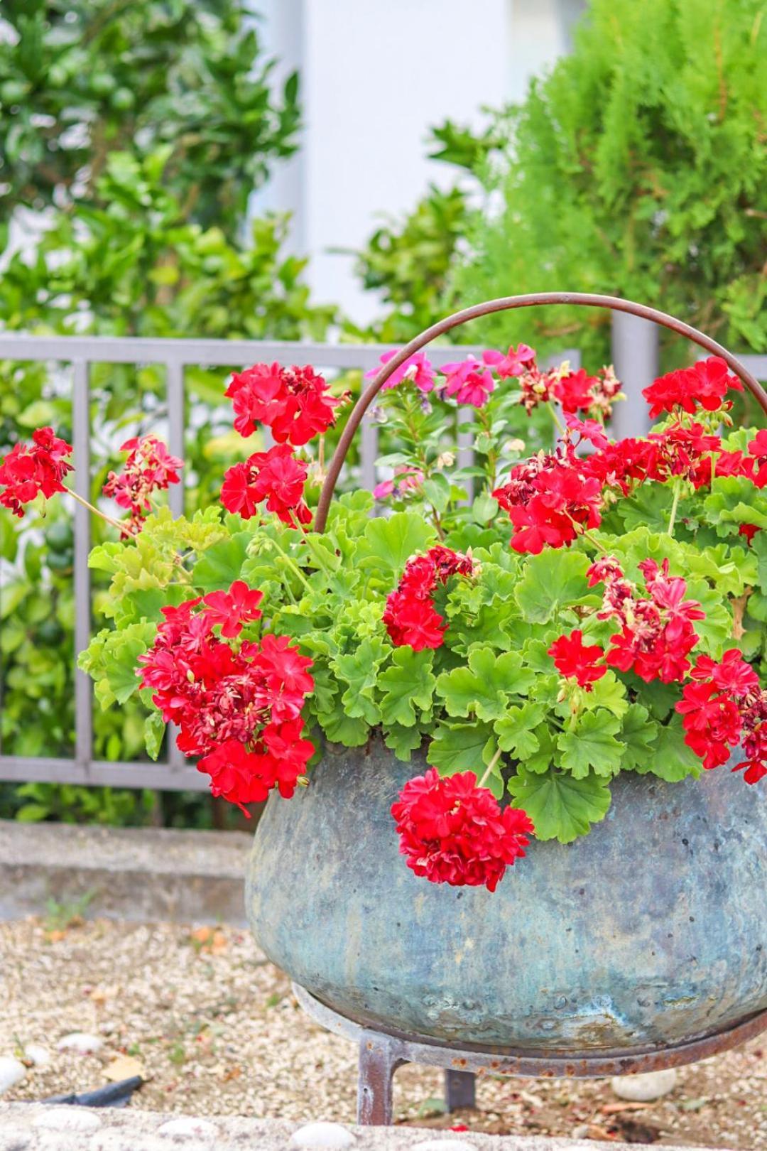 Hilja'S Oliven Garden Bungalows อุลซิน ภายนอก รูปภาพ