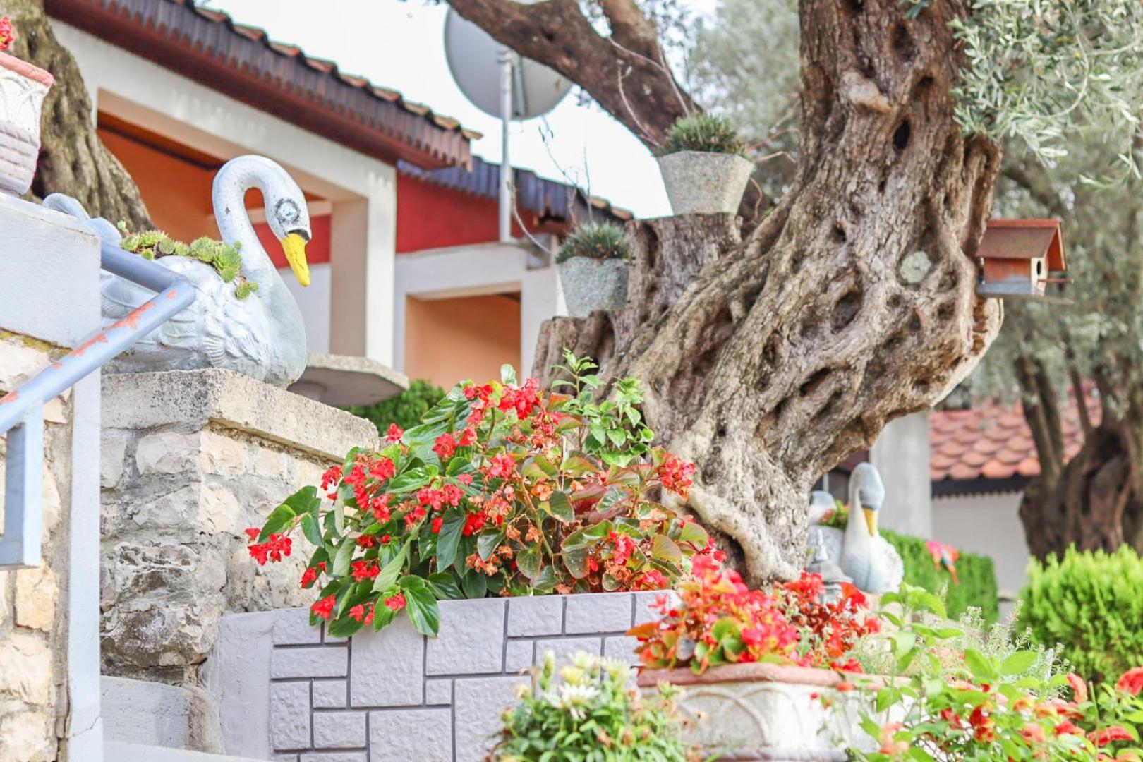 Hilja'S Oliven Garden Bungalows อุลซิน ภายนอก รูปภาพ