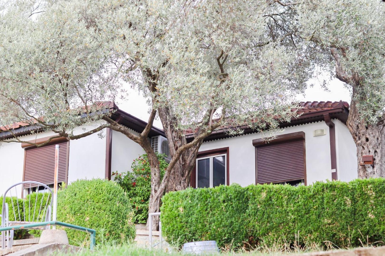 Hilja'S Oliven Garden Bungalows อุลซิน ภายนอก รูปภาพ