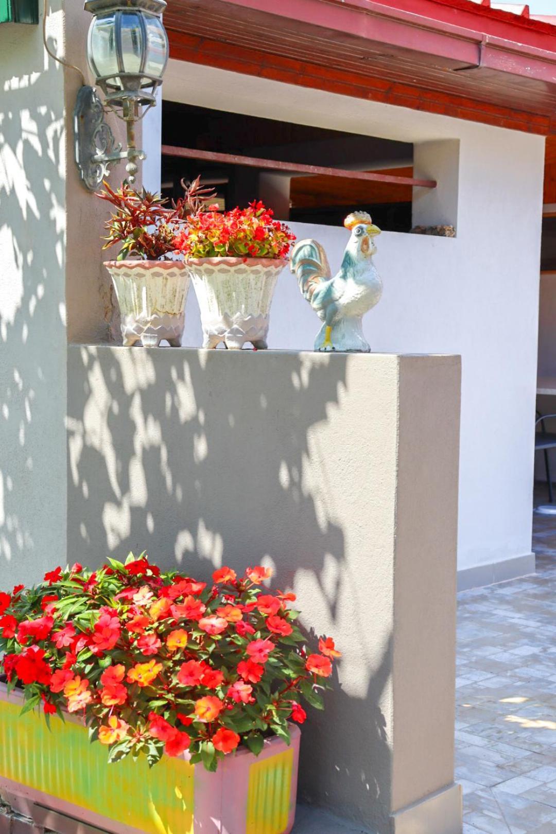 Hilja'S Oliven Garden Bungalows อุลซิน ภายนอก รูปภาพ
